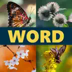 Word 4 Pics Puzzle iOS Icon