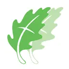 Double Oak Community Church iOS Icon