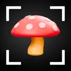 Mushroom Identifier AI iOS Icon