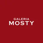 Galeria Mosty iOS Icon