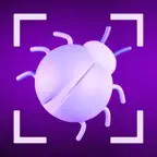 Bug Identifier+ iOS Icon