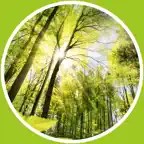 Relaxing music - calming music iOS Icon
