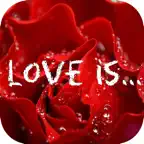 Best Romantic Love Quotes icon