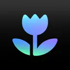 PixelWiz: AI Photo Editor iOS Icon