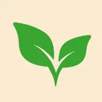 DivineVerse - Bible Verse App iOS Icon