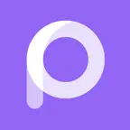 Palmap iOS Icon