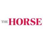 The Horse iOS Icon