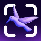 Bird ID: Identify Birds iOS Icon