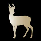 Roe Deer Calls & Hunting iOS Icon
