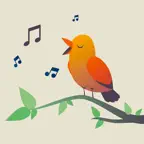 Bird Sound Identifier Song ID icon
