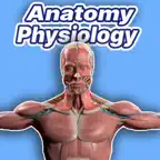 Learn Anatomy & Physiology Icon