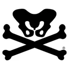 RideLabs iOS Icon