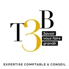 T3B Expertise & Conseil iOS Icon
