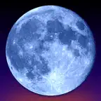 Blue Moon App iOS Icon