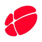 LS Professor iOS Icon