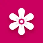 Gallery: Photo Vault & Cleaner iOS Icon
