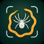 Spider Identifier: SpidyScan iOS Icon