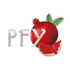 Pomegranate Frozen Yogurt iOS Icon