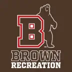 Brown Recreation iOS Icon