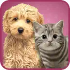 Animal kids dress up fun iOS Icon