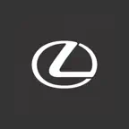 Lexus DVR iOS Icon
