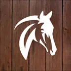 iQUEST - Deine Pferde icon
