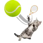 Cat Sports iOS Icon