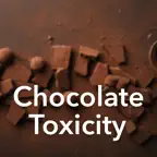 Chocolate Toxicity Calculator٭ iOS Icon