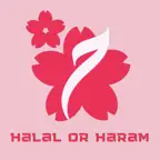 HALAL OR HARAM iOS Icon