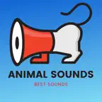 Animal Sounds - Cats Meowing iOS Icon