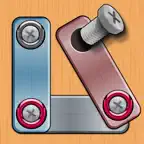 Nuts And Bolts - Screw Puzzle iOS Icon