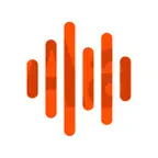 Offline privacy transcription iOS Icon