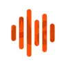 Transcribe voice to text ゜