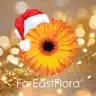 Far East Flora