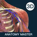 Anatomy Master icon