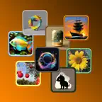 Memento Omnis iOS Icon