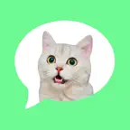 Message Stickers: cat emoticon iOS Icon