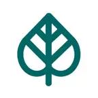 Kava Culture Kava Bar iOS Icon
