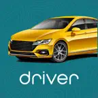 Runner Driver iOS Icon