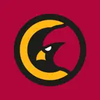 BirdGang Fanzine iOS Icon