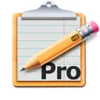 Daily Timesheets Pro iOS Icon