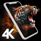 4K Wallpaper and Backgrounds iOS Icon