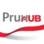 PruHub iOS Icon