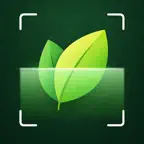 Plantips - AI Plant Identifier Icon