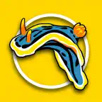 Name that Nudibranch iOS Icon