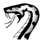 Snake+ Challenge iOS Icon