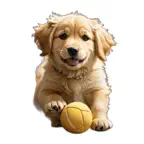 Golden Retriever Cute Stickers iOS Icon