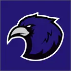Ravens Flock iOS Icon