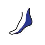 Bio3DFootScan iOS Icon