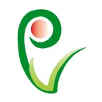 PVStore iOS Icon